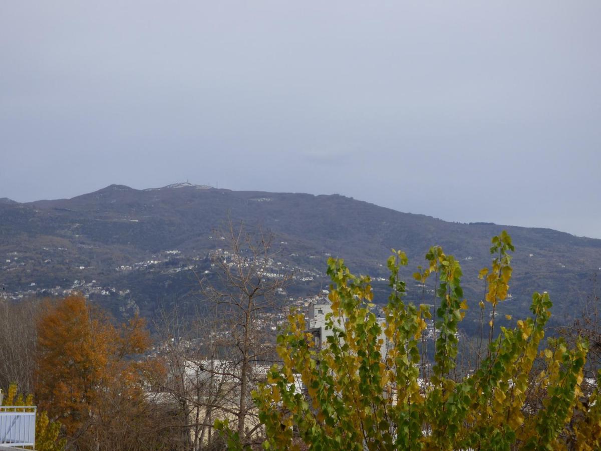 Old City View Apartment Golos Dış mekan fotoğraf